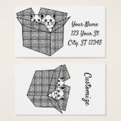 ボックス内の子猫Thunder_Cove (正面&裏面)