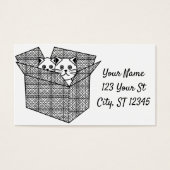 ボックス内の子猫Thunder_Cove (正面)