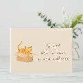 ボックス型および境界型の猫の移動 案内状 (スタンド正面)