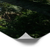 ボックタワーガーデンズセントラルフロリダカンバスプリント ポスター (角)