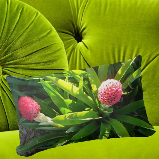 ボックタワーガーデンピンク熱帯花 – Bromeliad ランバークッション