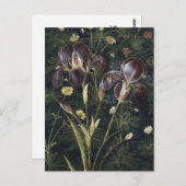 ボッティチェリアイリス ポストカード (正面/裏面)