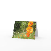 ボッピーポピー/ノートカード