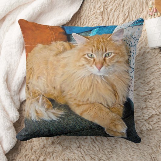 ボッピー クッション (ブランケット)