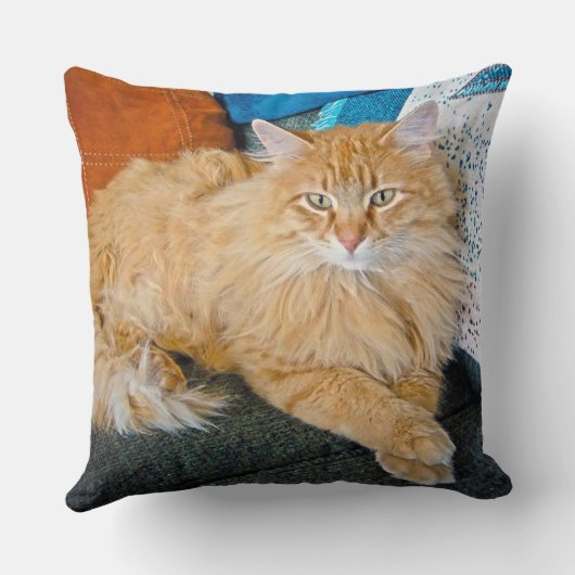 ボッピー クッション (裏面)