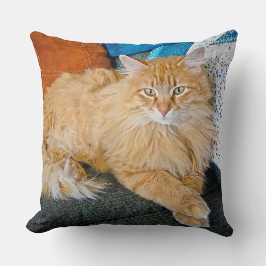 ボッピー クッション (正面)