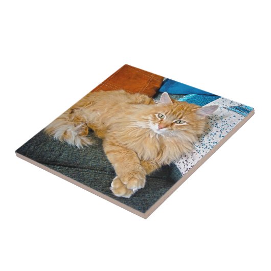 ボッピー タイル (側面)