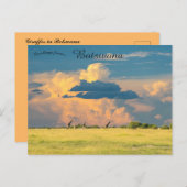 ボツワナのサンセットでギラッフェ ポストカード (正面/裏面)