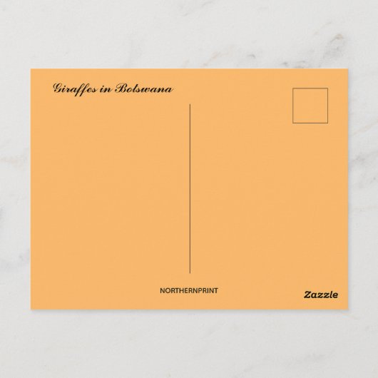 ボツワナのサンセットでギラッフェ ポストカード (裏面)