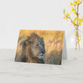 ボツワナのジャングル王 カード (黄色い花)