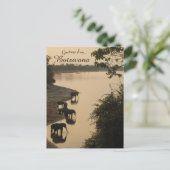 ボツワナのゾウ ポストカード (スタンド正面)