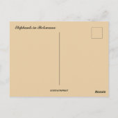 ボツワナのゾウ ポストカード (裏面)