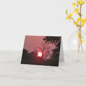 ボツワナの夕日 カード (黄色い花)