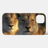 ボツワナのChobeの国立公園、雌ジシ Case-Mate iPhoneケース (裏面 (横))