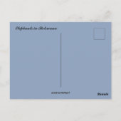 ボツワナはがき内の4頭のゾウ ポストカード (裏面)