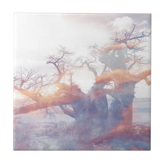 ボツワナクブアイランドバオバブツリー タイル (正面)