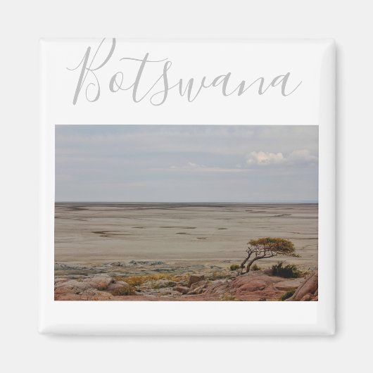 ボツワナクブバオバブアイランドゴートラベルマグネット マグネット (正面)