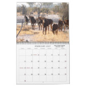 ボツワナクラシックフォトサファリ カレンダー (2月 2027)