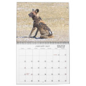 ボツワナクラシックフォトサファリ カレンダー (1月 2027)