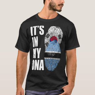 ボツワナンと韓国ミックスDNA伝統国旗 Tシャツ