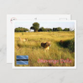 ボツワナ語 – オカヴァンゴデルタ –  ポストカード (正面/裏面)