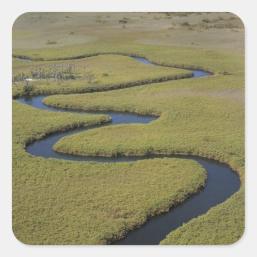 ボツワナ、アフリカ。オカバンゴ川の上空からの景色 スクエアシール (正面)