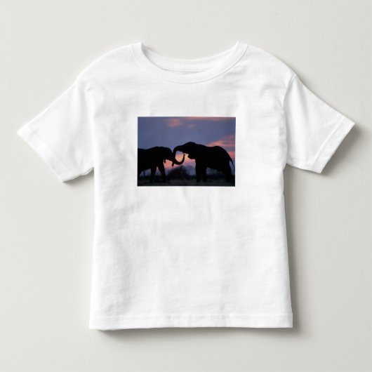 ボツワナ、チョベ国立公園、ゾウ トドラーTシャツ (正面)