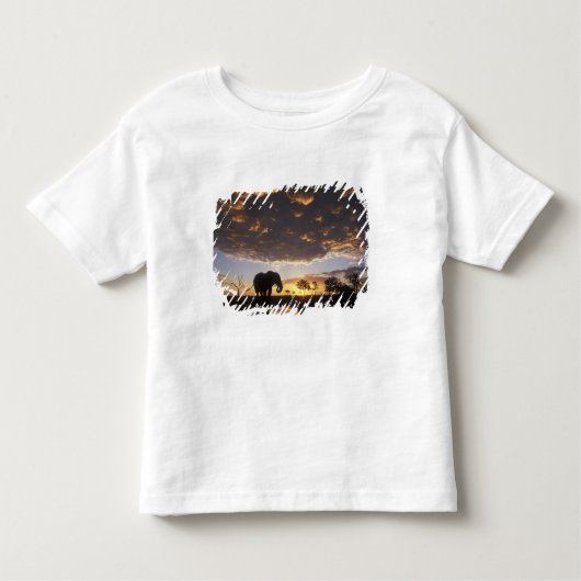 ボツワナ、チョベ国立公園、ゾウ トドラーTシャツ (正面)