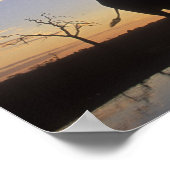 ボツワナ、チョベ国立公園、ゾウ ポスター (角)