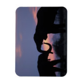 ボツワナ、チョベ国立公園、ゾウ マグネット (縦)