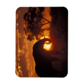 ボツワナ、チョベ国立公園、ブルゾウ マグネット (縦)