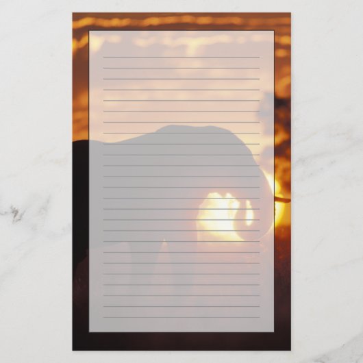 ボツワナ、チョベ国立公園、ブルゾウ 便箋 (正面)