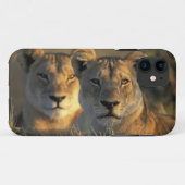 ボツワナ,チョベ国立公園,メスライオン Case-Mate iPhoneケース (裏面(横))