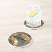 ボツワナ、チョベ国立公園、ライオネス コースター (側面)