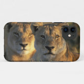 ボツワナ、チョベ国立公園、ライオン Case-Mate iPhoneケース (裏面(横))