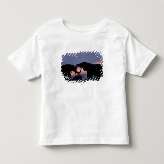 ボツワナ、チョベ国立公園、象 トドラーTシャツ (正面)