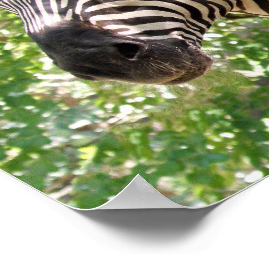 ボツワナ ポスター (角)