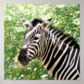 ボツワナ ポスター (正面)