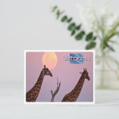 ボツワナ –  ポストカード (スタンド正面)