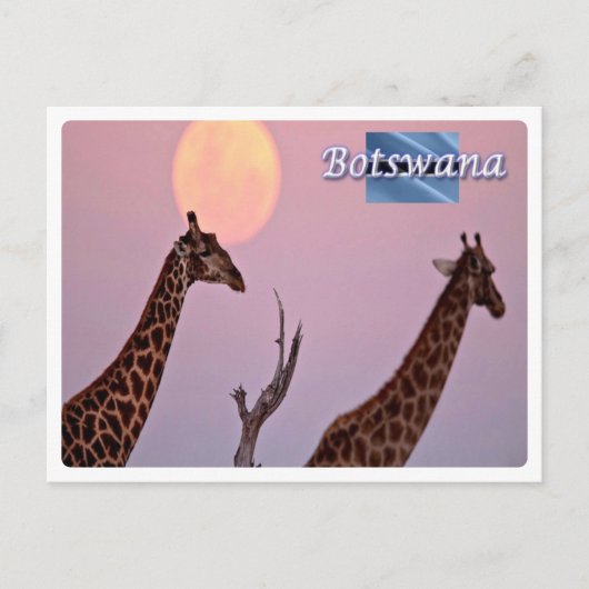 ボツワナ –  ポストカード (正面)