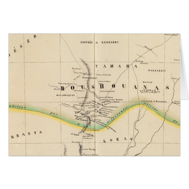 ボツワナ、南アフリカ51 (正面横)