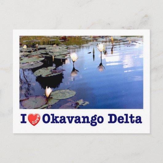 ボツワナ – Okavango Delta – 大好き – ポストカード (正面)
