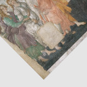 ボテチェリの分離 薄葉紙 (詳細)