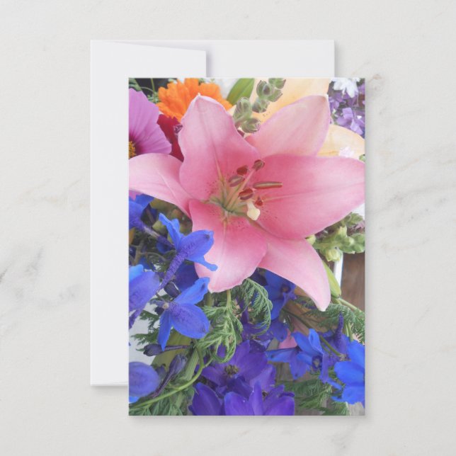 ボディション (正面)