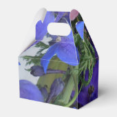 ボディション フェイバーボックス (裏面サイド)