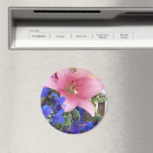 ボディション マグネット (インサイチュ (食洗機))