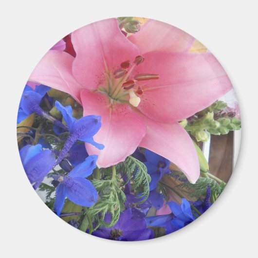 ボディション マグネット (正面)