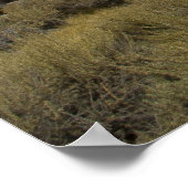 ボディメイン通り ポスター (角)