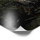 ボディーアイランドライトハウスウィズエグレット フォトプリント            (角)