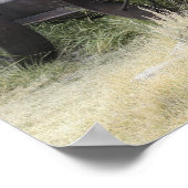 ボディ州歴史公園 ポスター (角)